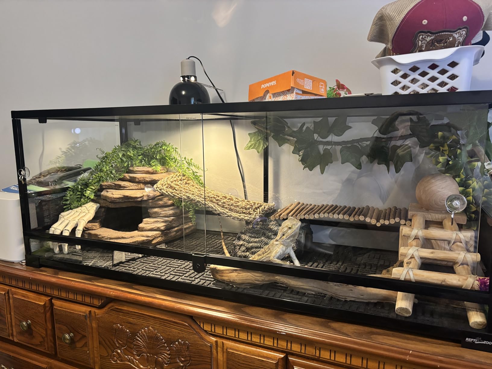 REPTI ZOO Reptile Tempered Glass Extra-Long Terrarium Habitats 48 x 18 x 18 Reptile Amphibians Large Enclosure for Snake/Bearded Dragon/Lizard ect. customer photo 1