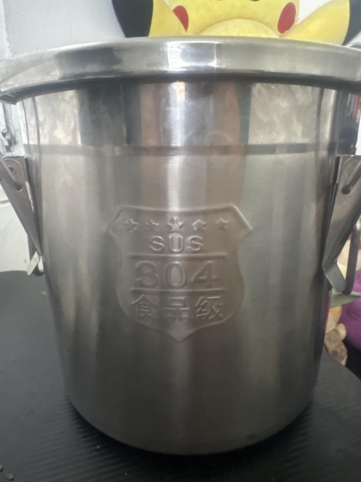 DYNAMI 5.5Gal 304 Stainless Steel Airtight Container with Lid and Locking Clamp,17-38Lbs Metal Bucket Stainless Steel Drum Large Canister for Kitchen,Dog Food/Bird Seed/Coffee Storage Container(21L) customer photo 2