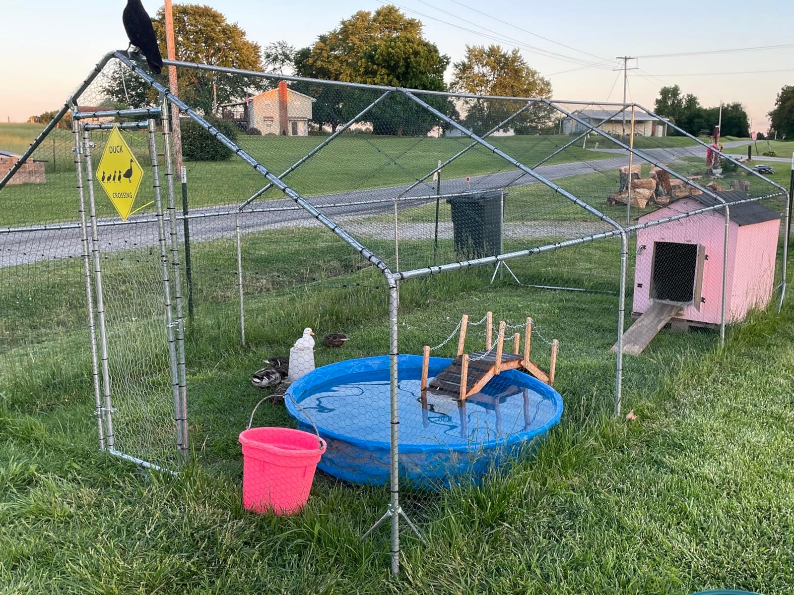 Large Metal Chicken Run Walk-in Poultry Cage Spire-Shaped Chicken Coop with Waterproof and Anti-Ultraviolet Cover for Outside,Backyard and Farm,19.6' L x 9.8' W x 6.4' H customer photo 2