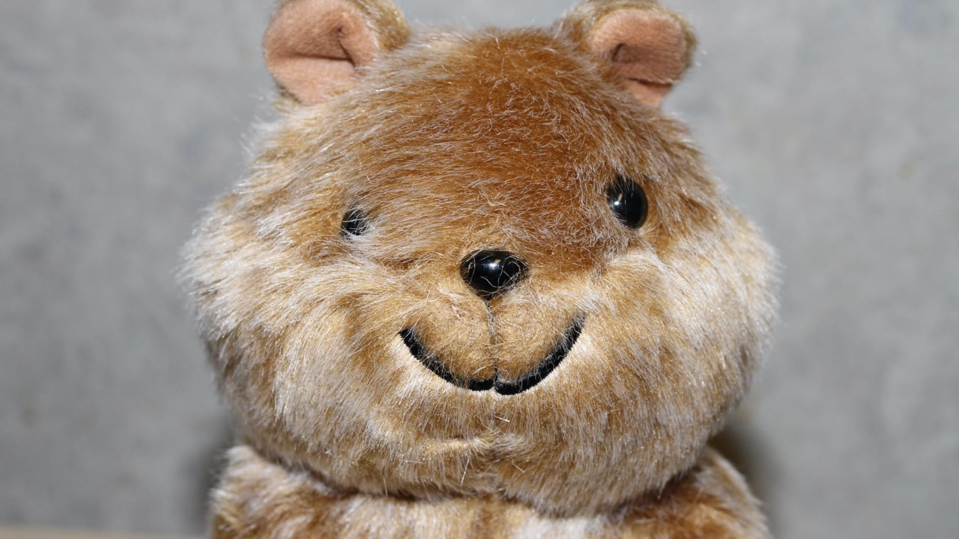 Kawaii Quokka Stuffed Animal Short Tail Kangaroo Plush Home Decor 8.5'' | Realistic, Soft, Birthday Gift for Boys and Girls customer photo 1