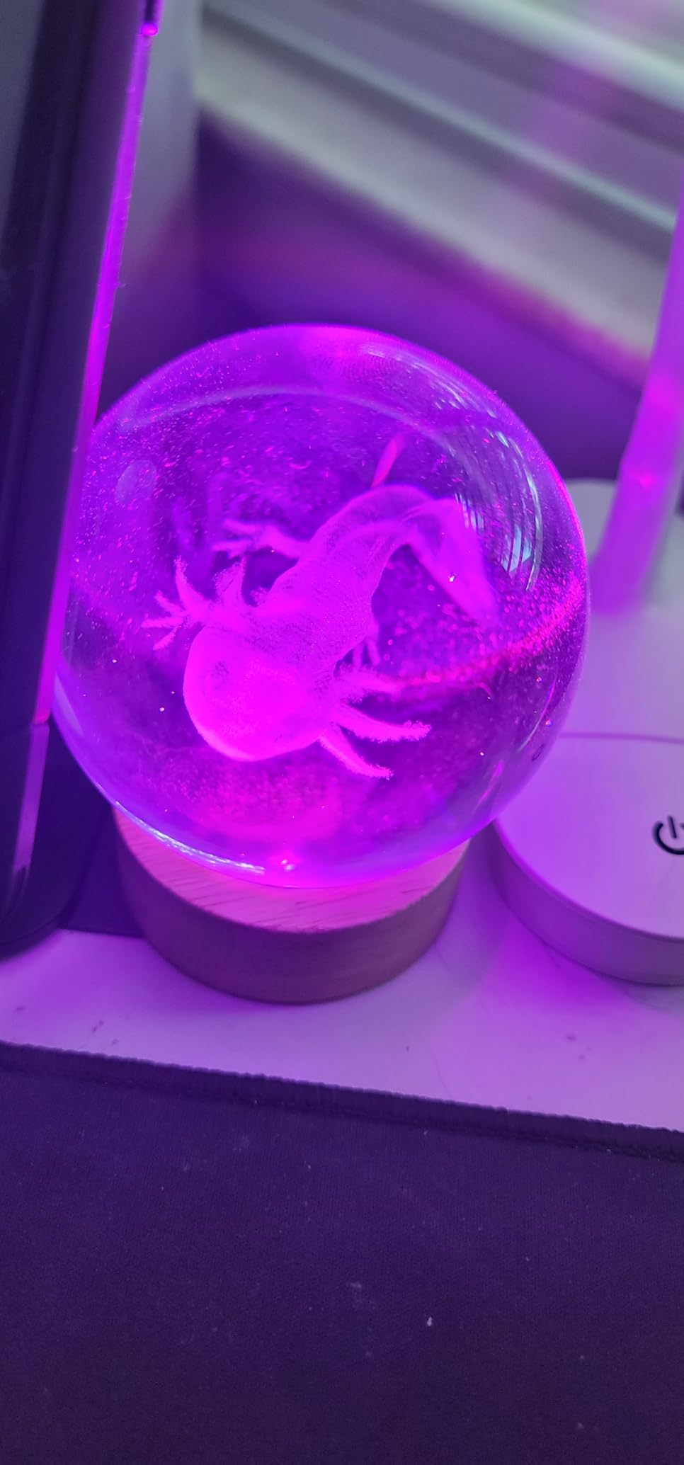 Axolotl Lamp, 3.15 inch 3D K9 Crystal Ball Axolotl Night Light with Wooden Base, 16 colors change, remote control, color box, Birthday Christmas Axolotl Gift customer photo 2