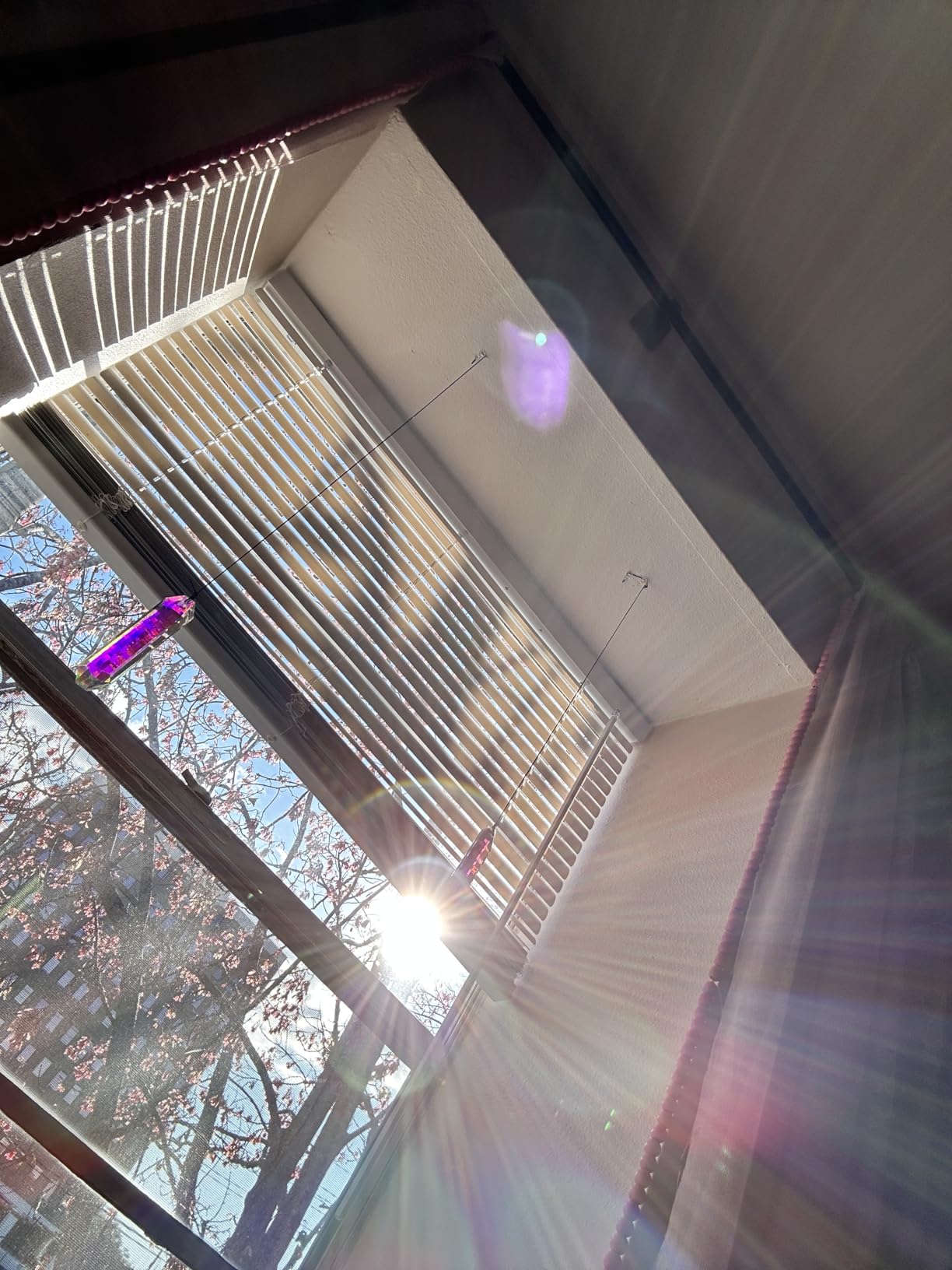 2PCS Long Crystal Suncatcher Prisms for Windows (Rect ABColor) customer photo 1
