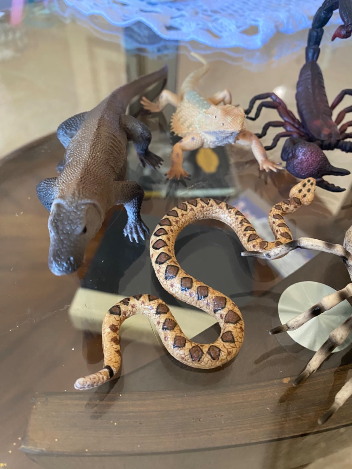 Gemini&Genius 7Pcs Reptile Toys for Kids, Amphibians Desert Animal Figures customer photo 2