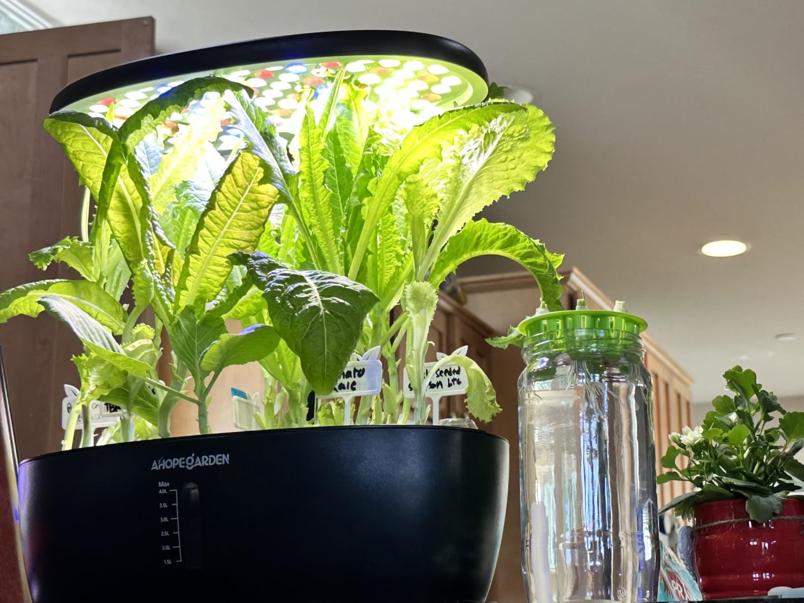Ahopegarden Hydroponics Growing System: 12 Pods Indoor Herb Garden with LED customer photo 1