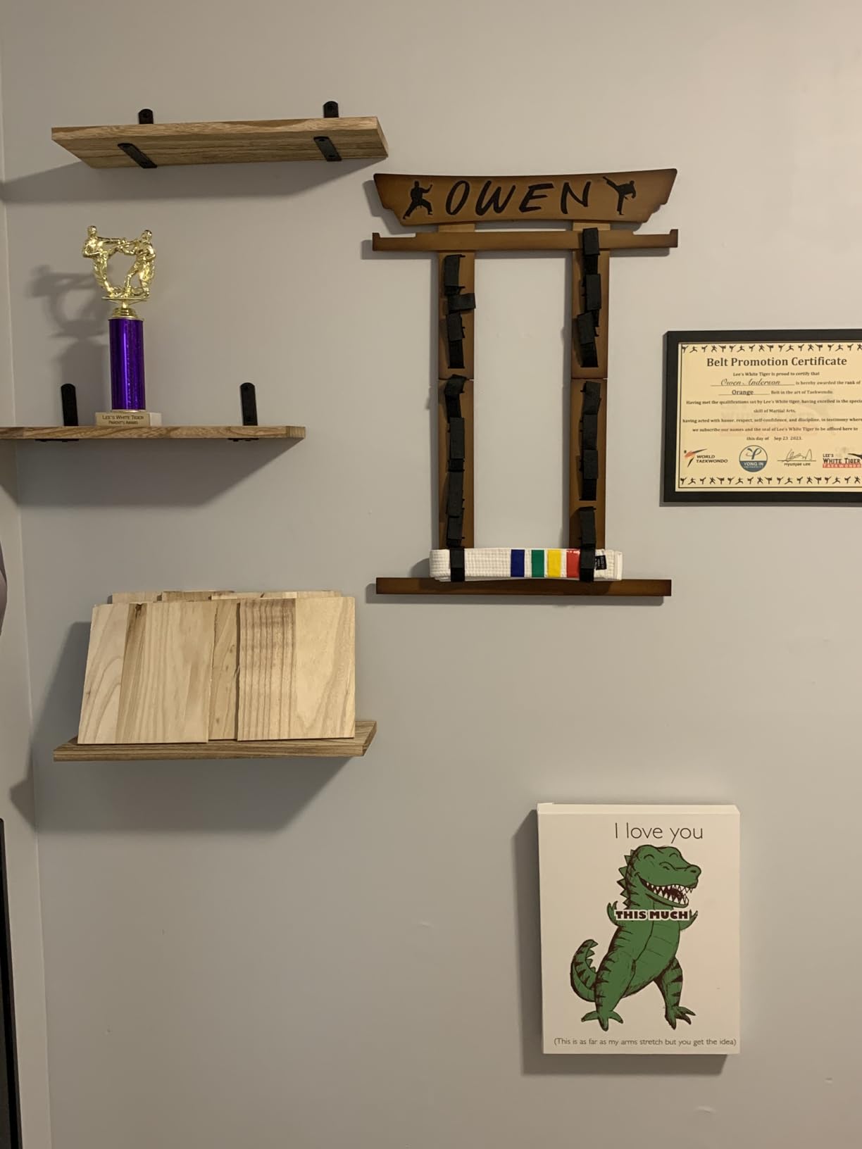 Tilhumt 8 Belt Karate Belt Display Rack with Medal Hanger and Stickers, Taekwondo Belt Display Holder, Martial Arts Belt Display Organizer for Adults (Bamboo/Acrylic) customer photo 2