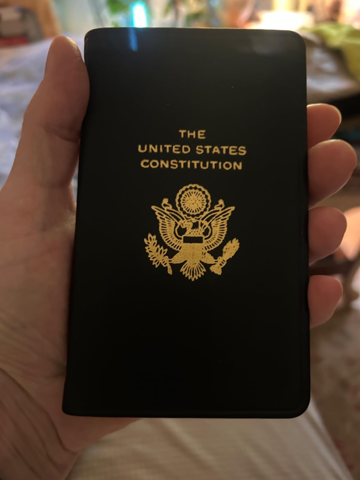 Graphic Image The United States Constitution and Related Documents | Published and Bound in the USA | Full Grain Leather Soft Cover | Pocket Size (3.13