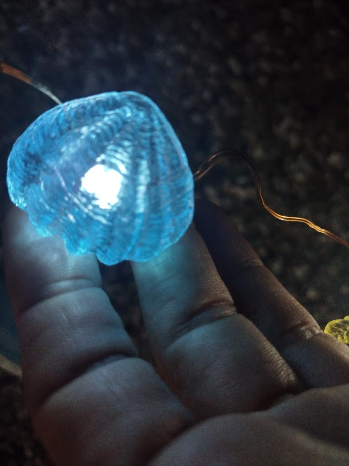 Coastal Solar String Lights Outdoor Garden Lights Marine Life Solar Fairy Garden Lights for Outside 14ft 40LED Waterproof Turtle Seahorse Starfish Clam Beach House Nautical String Lights Yard Decor customer photo 2