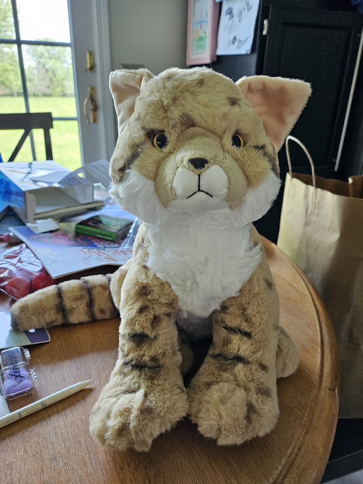 The Petting Zoo Sand Cat Stuffed Animal Plush, Wild Onez, Kids Gifts, 12 in customer photo 2