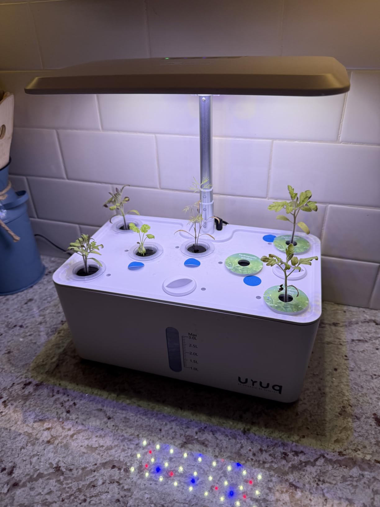URUQ 8 Pods Hydroponics Growing System with LED Grow Light - White customer photo 2