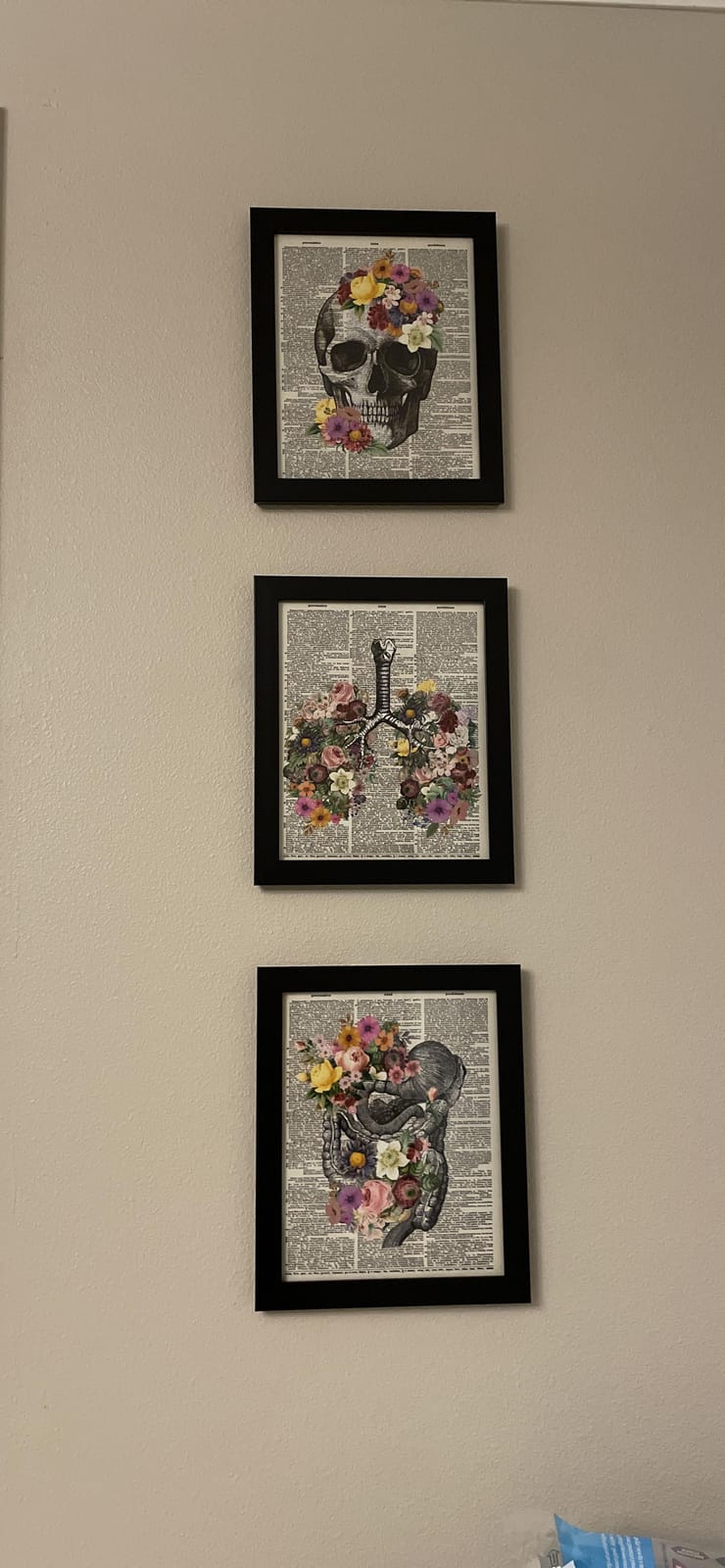 Vintage Human anatomy Poster Set LARGE 11x14 - Floral Wall Art for Medical Student, Physician - Retro Wall Decor for Hospital, Clinic, Doctor Office - Unique Gift for ER Nurse, Shabby Chic Decor customer photo 2
