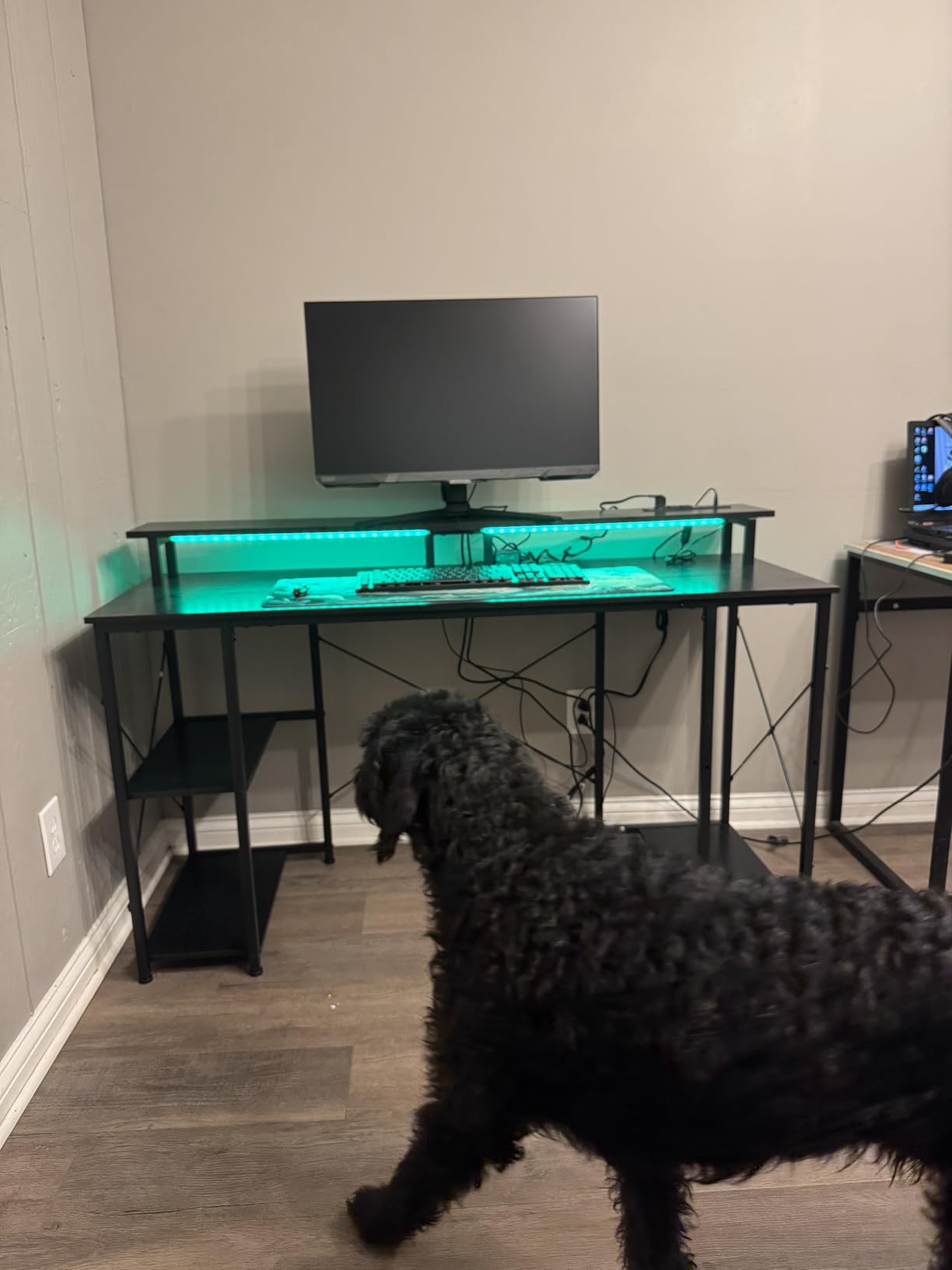 ODK 48 Inch Gaming Desk with LED Lights & Storage Shelves, Black customer photo 2