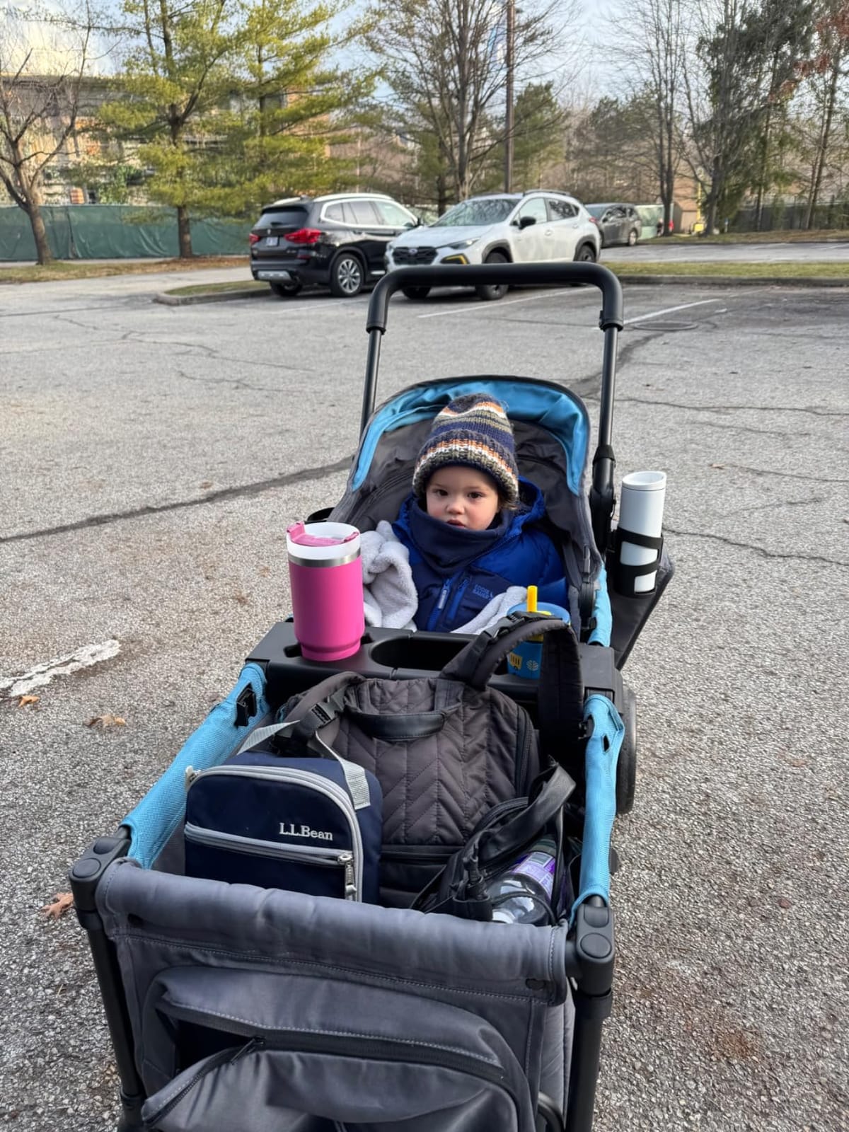 Jeep Sport All-Terrain Stroller Wagon by Delta Children - Includes Canopy, Parent Organizer, Adjustable Handlebar, Snack Tray & Cup Holders, Grey/Blue Moon customer photo 2