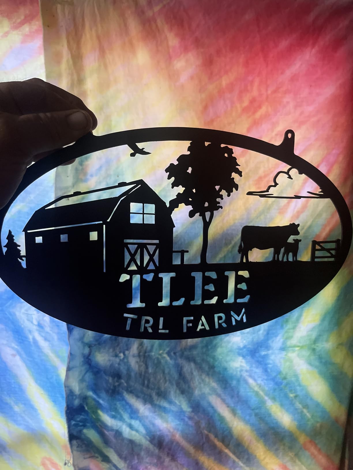 RealSteel Personalized Farmhouse Metal Sign – Custom Farm Scene Wall Art with Barn, Horse & Fence | Family Name & Established Date Plaque | Rustic Outdoor Patio & Garden Décor | Housewarming & Wedding Gift | Made in USA customer photo 2