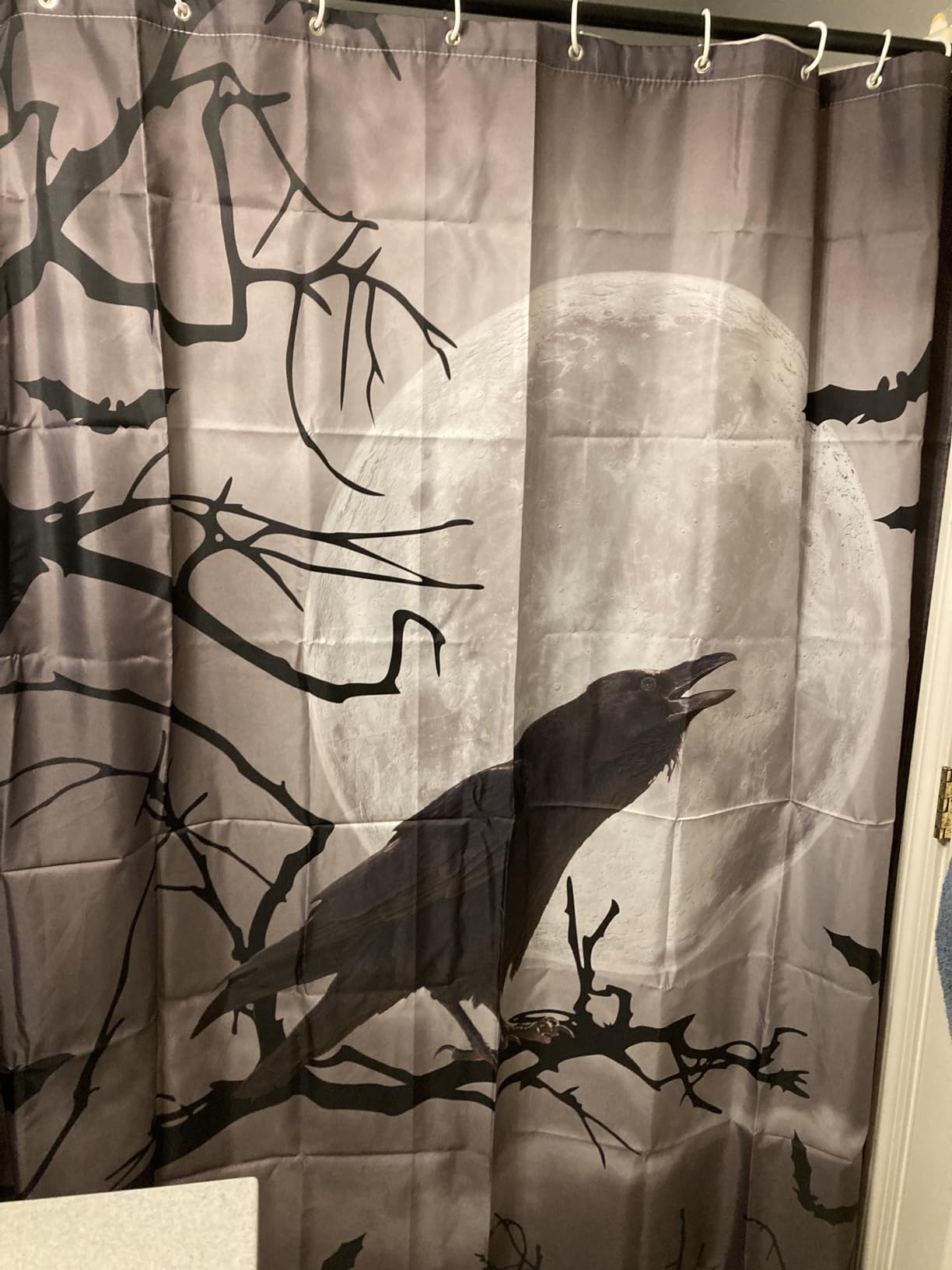 Halloween Shower Curtain, Black and White Spider Web, 60x72 inch | Modern Black Style, Simple Holiday Design, Includes Hooks, Bathroom Shower Curtains Set customer photo 1