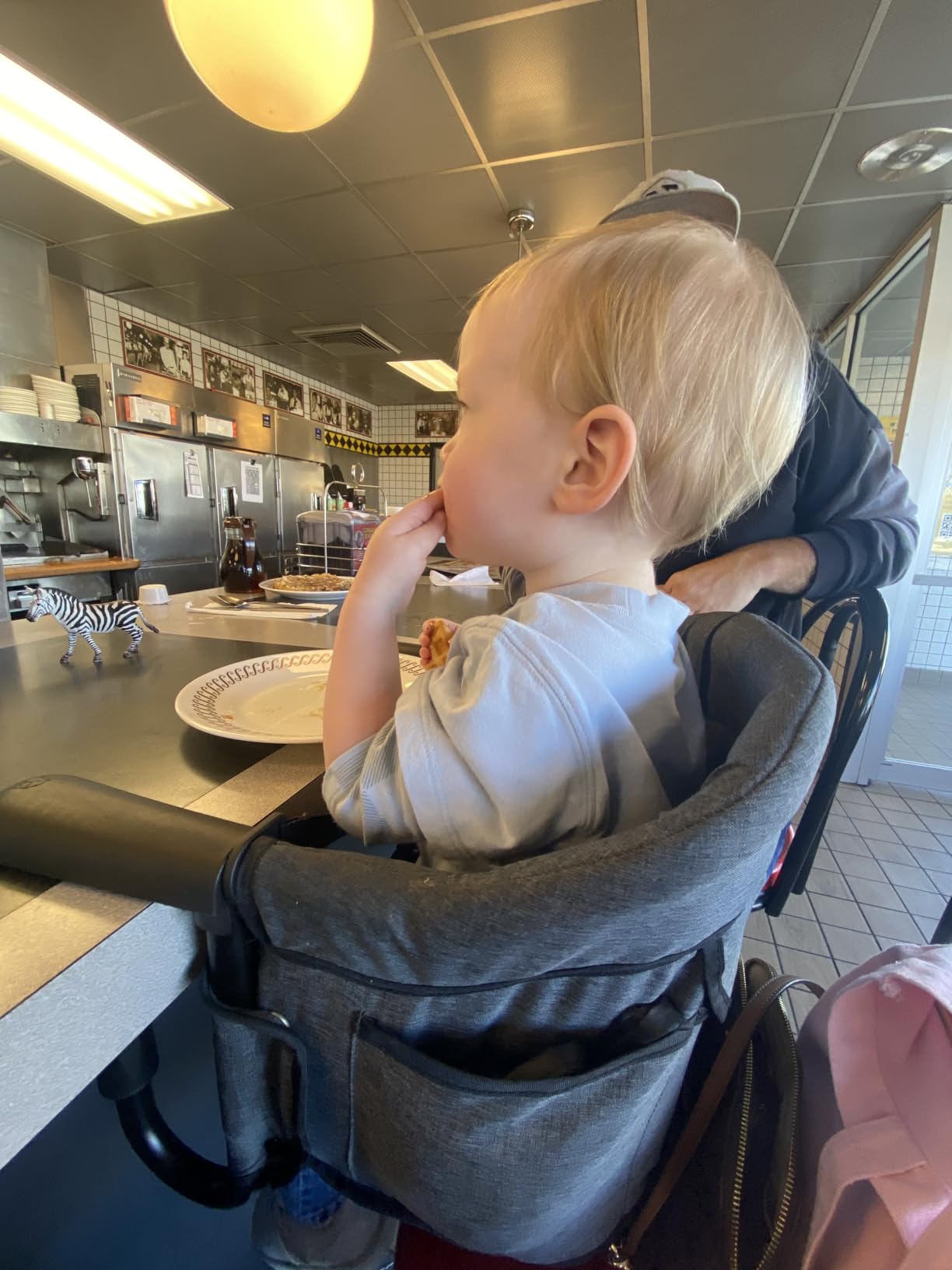 Hook-On High Chairs - Portable & Foldable for Babies 6-36 Months, Family & Travel Use with Carry Bag (Grey) customer photo 2