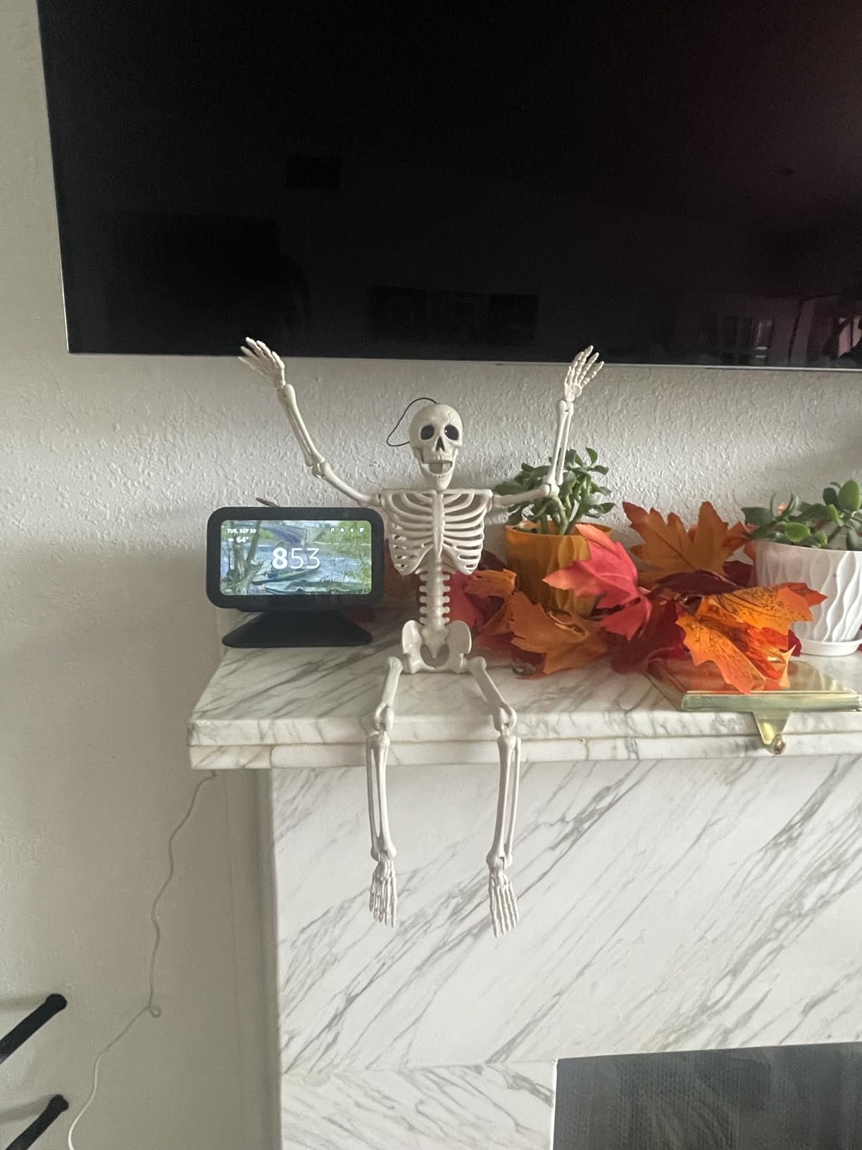 JOYIN 5 PCS Posable Halloween Skeleton Decor 16 Inches, Full Body Posable Joints Hanging Skeletons customer photo 1