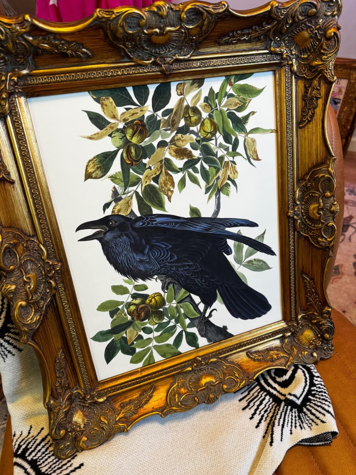 Poster Master Vintage James Audubon Poster - Louisiana Heron Print - Birds of America Art - Bird Art - Gift for Men, Women & Animal Lover - Decor for Bedroom or Living Room - 8x10 UNFRAMED Wall Art customer photo 2