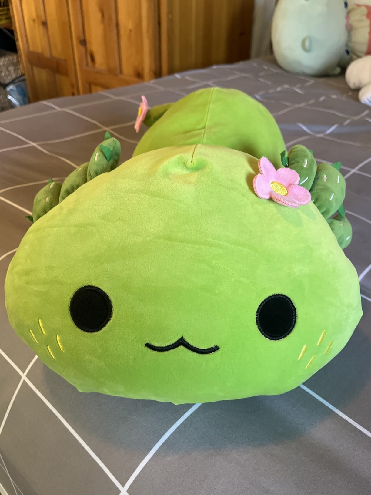 Onsoyours Cute Axolotl Plush, Soft Stuffed Animal Salamander Plush Pillow, Kawaii Plushie Toy for Kids (Axolotl Cactus, 13