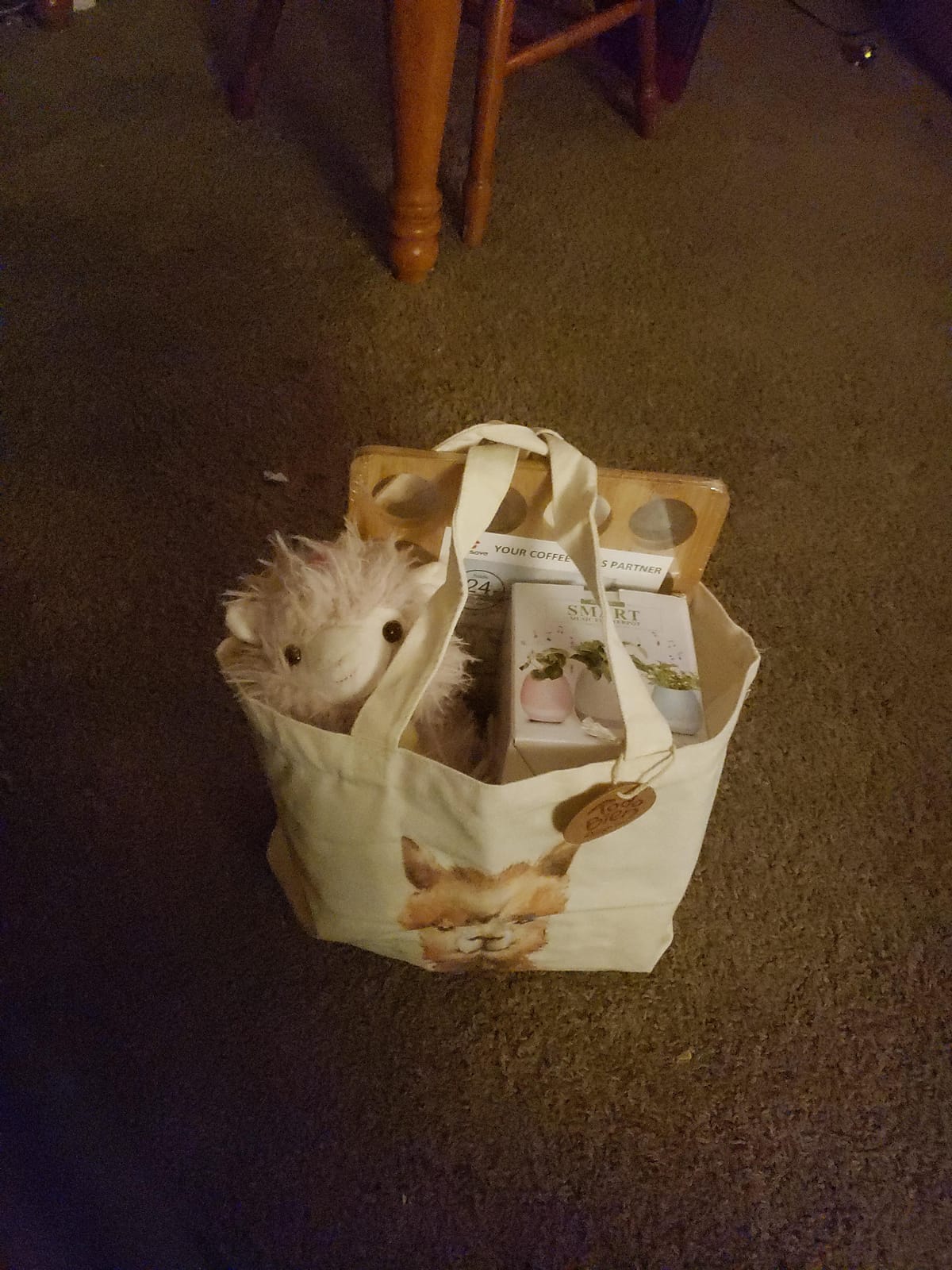 Canvas Tote Bag, Animal Design, Heavy Duty Gusseted, 100% Natural Cotton, for Shopping, Grocery, Laptop (T-PENGUIN-XL) customer photo 2