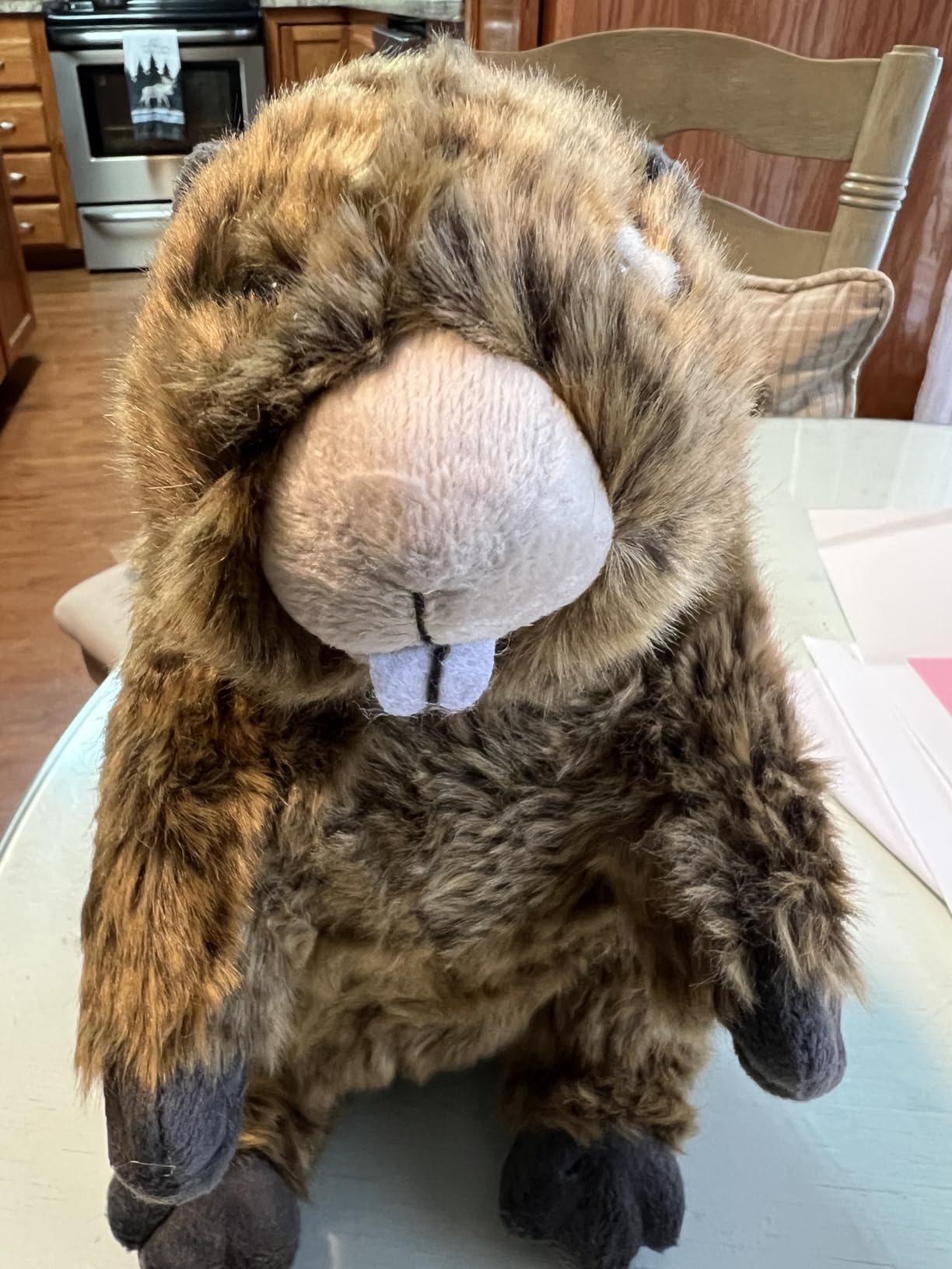 Quokka Plush Toy - Realistic Quokka Stuffed Animals, Lifelike Short Tail Kangaroo Animals Stuffed Toys Birthday Gifts for Kids, 12Inches customer photo 2