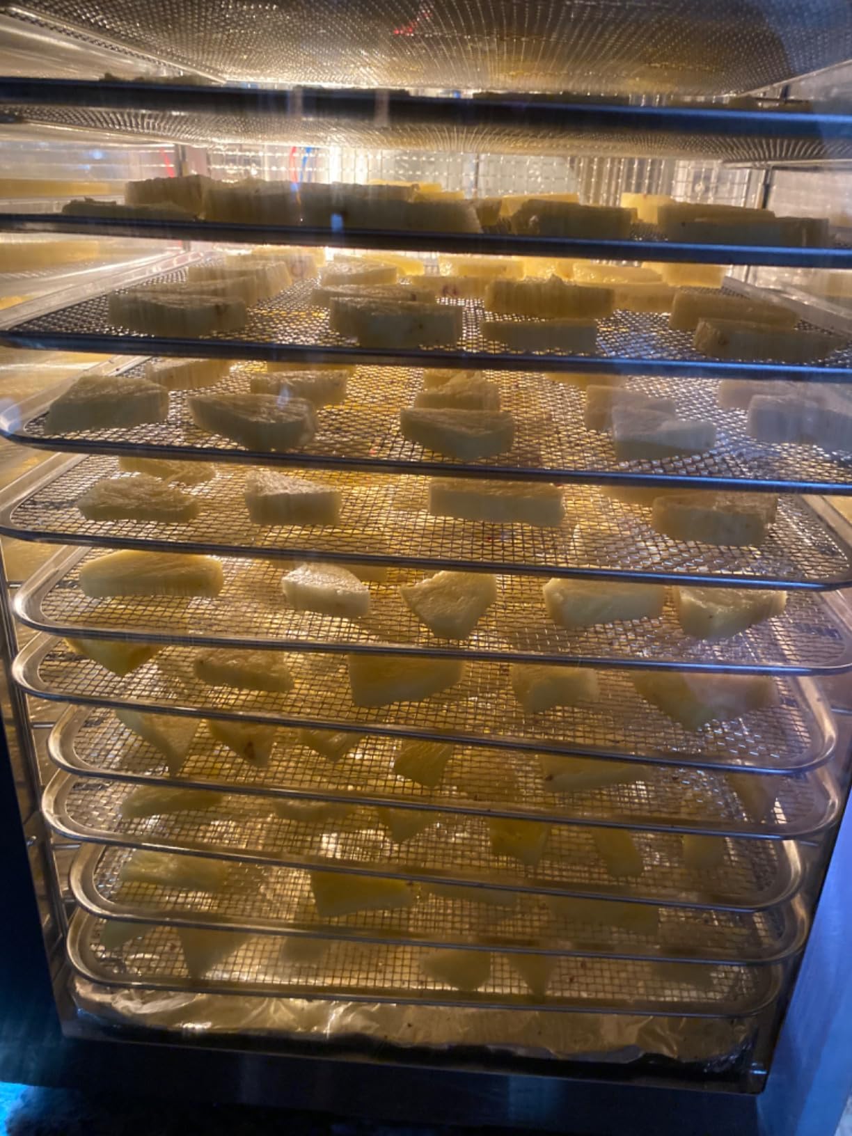 Food-Dehydrator Machine Adjustable Temperature 12 Trays 800W Food Dryer customer photo 2
