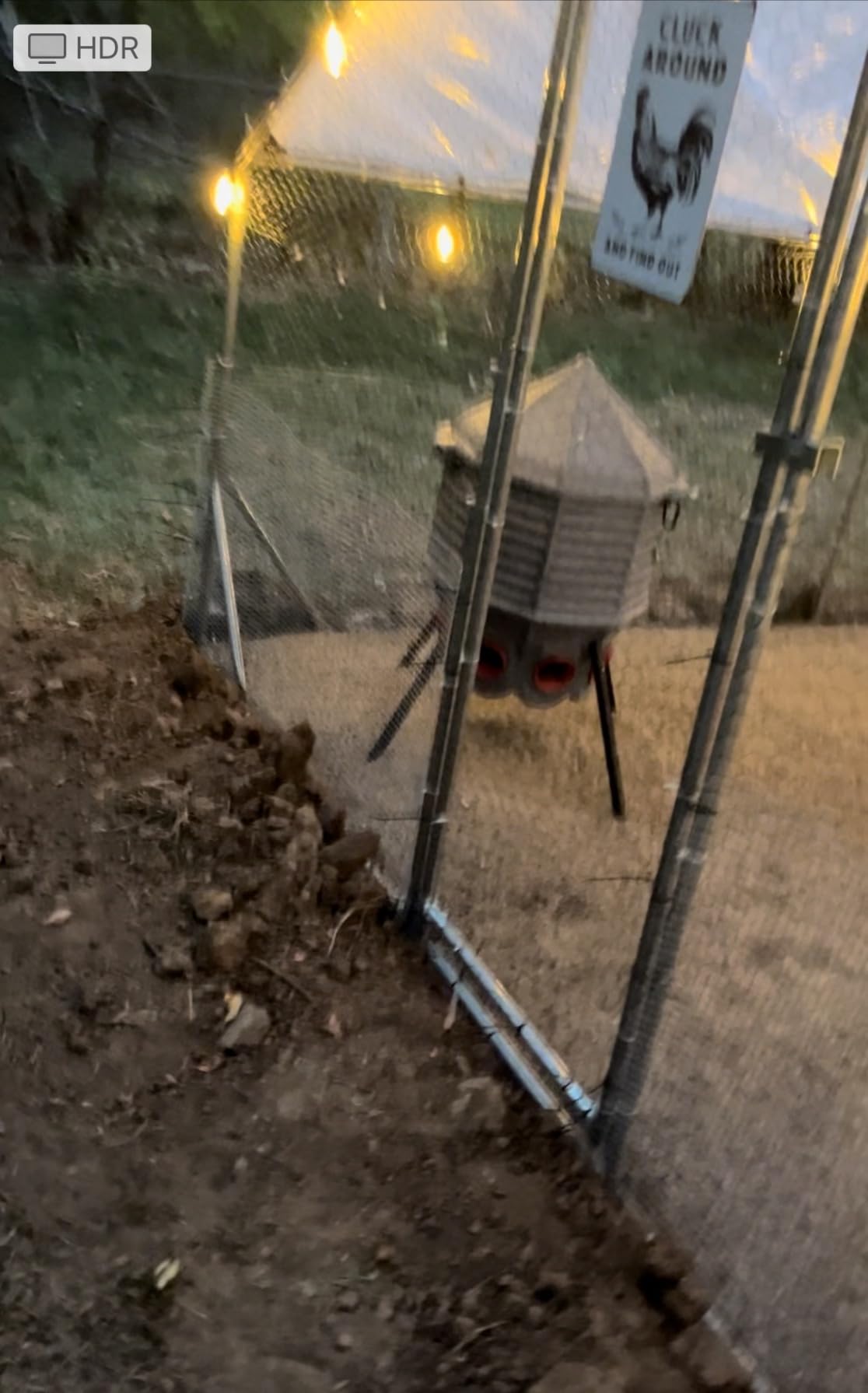 CoopWorx Poultry Feeder 80 lb Capacity - Adjustable Height Chicken Feeder - UV Stable Rotomolded - 8 Soft-Touch Ports - Roost-Resistant Lockable Lid - Made in USA customer photo 2