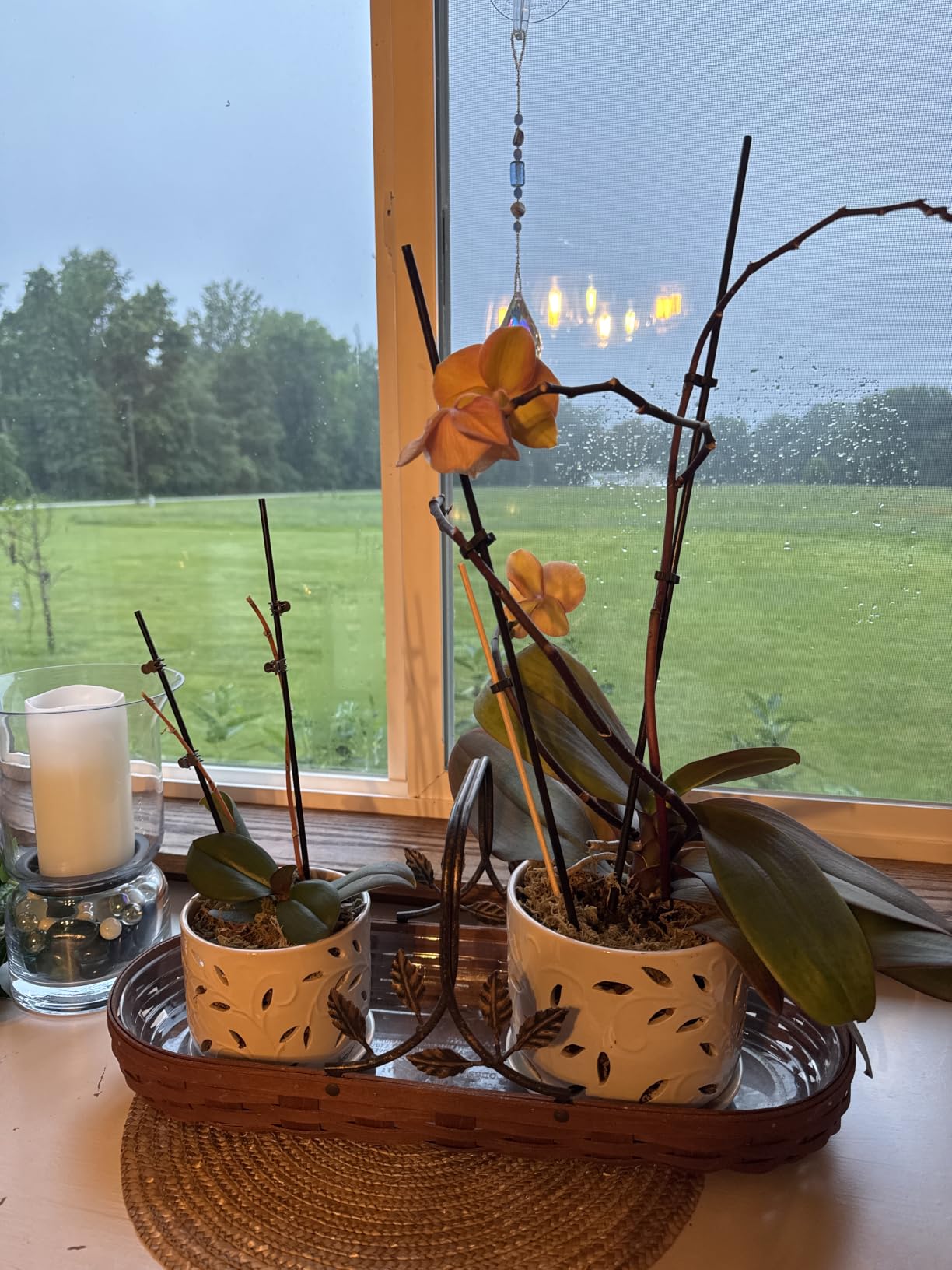 EFISPSS Ceramic Orchid Pots 5+6 Inch White with Drainage Holes & Tray, Breathable Airflow, Indoor & Outdoor customer photo 2