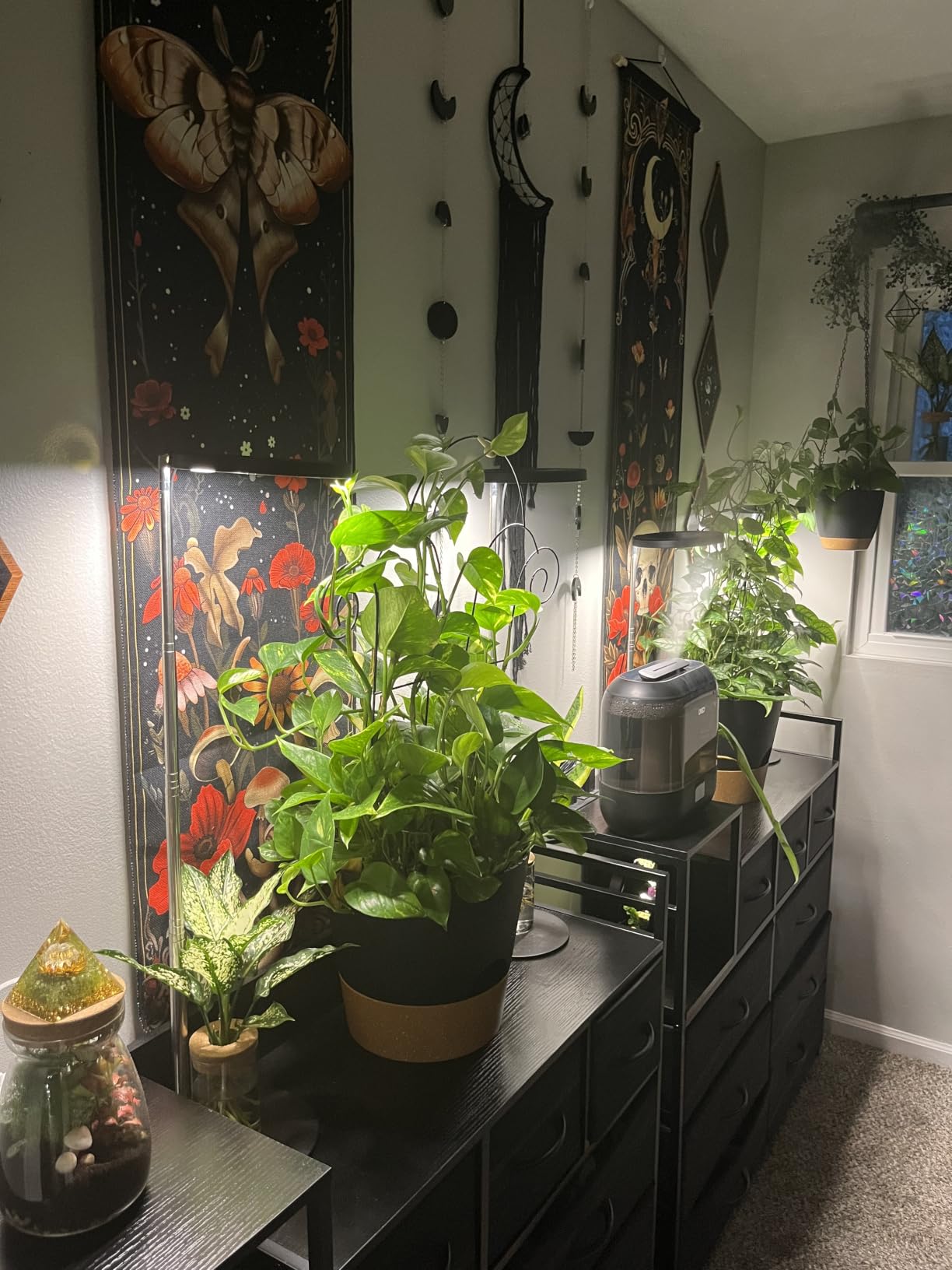 YNNICO Indoor Self Watering Planters with Drainage Holes and Saucers, 8, 7, 6.5, 6, 5.5, 5 Inches, Black, 6 Pots customer photo 2