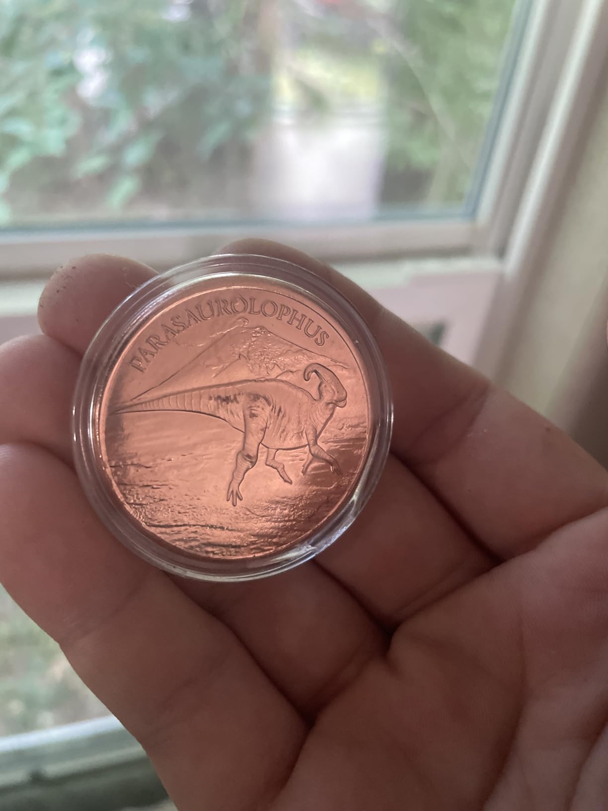 Ice Age Saber-Toothed Tiger 1 oz Pure .999 Copper Round Bullion Coin in Capsule - COA by Heavenly Metals customer photo 1