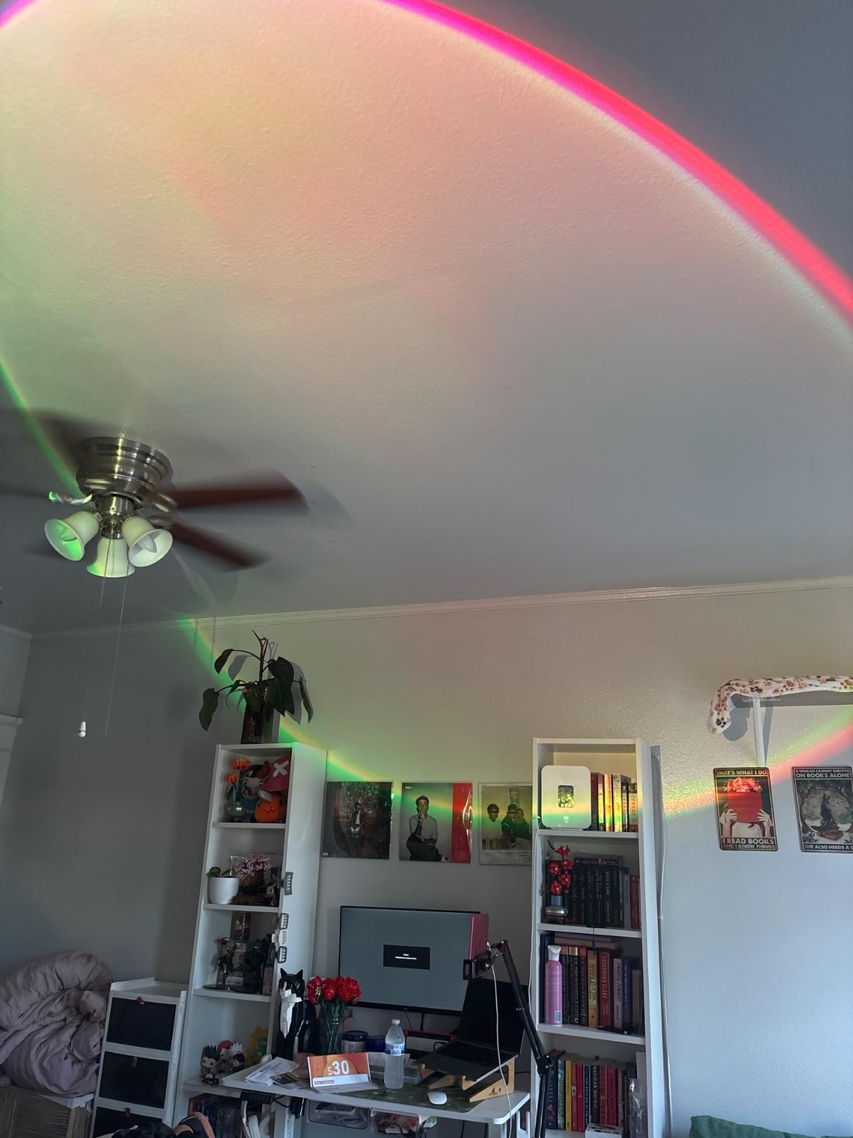 Neroupe Sunset Lamp Projector with APP & Button Control LED Night Light | 360 Degree Rotation Multiple Colors Changing Sunset Light for Bedroom Decor/Party/Tiktok Live/Room Decor customer photo 2