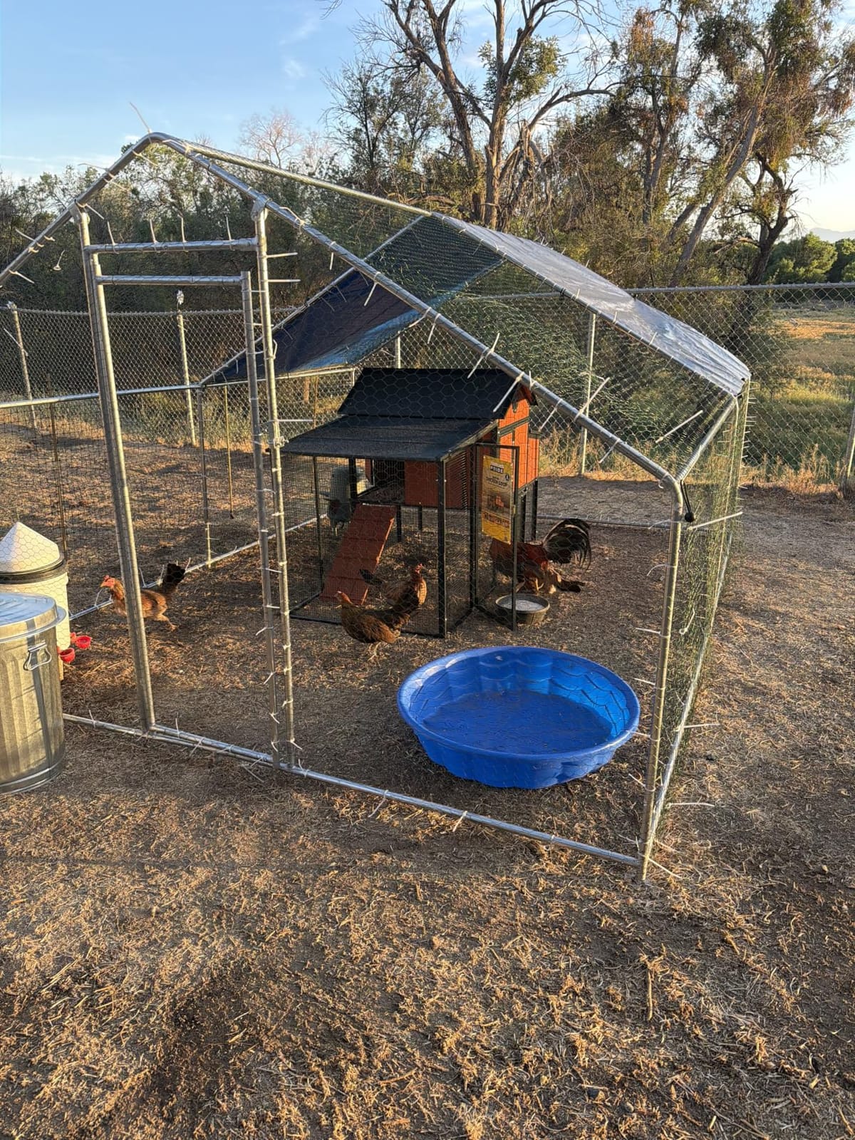 HITTITE Large Metal Chicken Coop with Run, 9.84 x 6.4 x 6.56 ft Walk in Poultry Cage Chicken Run Pen, Outdoor Chicken Runs for Yard with Waterproof & Anti-UV Cover customer photo 2