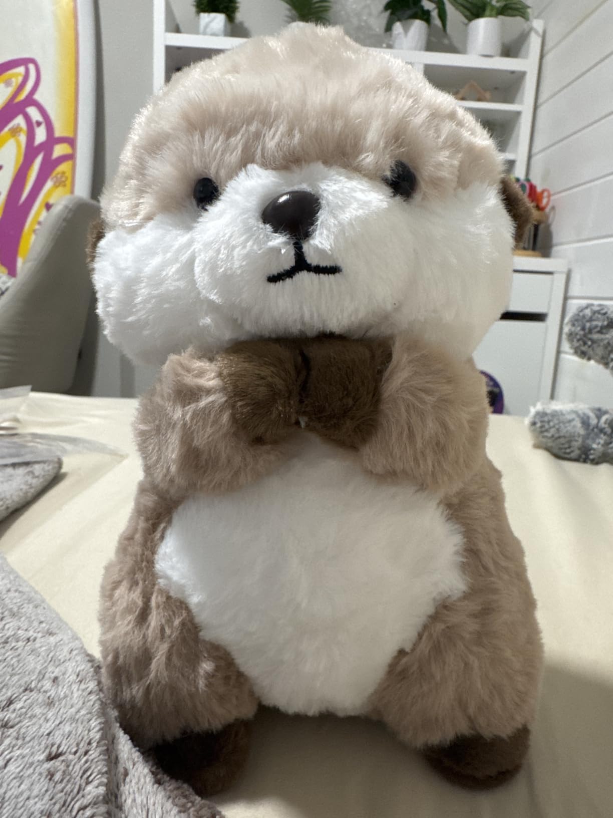 Otter Stuffed Animal Plushie Cute Sea Otter Plush Gift for Girls Boys 9.8 inch Soft Otter Plushies Toy, Birthday Christmas Valentine's Day Gift for Kids & Adult customer photo 2