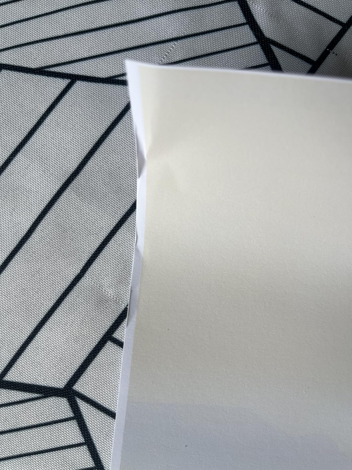 Brasilian Caracara Eagle Art Print Poster, Falcon, Hawk, Eagle Drawing, Birds of Prey Vintage Painting, Wall Art Birds Decoration (Brasilian caracara eagle (1827–1838) John James Audubon, 24x36 inches (Unframed)) customer photo 1