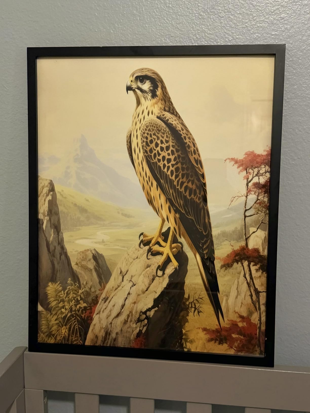 Goshawk, Stanley Hawk Art Print Poster, Falcon, Hawk, Eagle Drawing, Birds of Prey Vintage Painting, Wall Art Birds Decoration (Goshawk, Stanley hawk (1827–1838) John James Audubon, 11x14 inches (Unframed)) customer photo 1