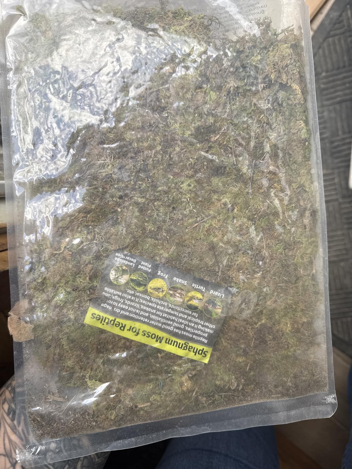 Sukh Sphagnum Moss for Reptiles - Green Terrarium Moss Substrate, 5oz | Habitat Bedding for Gecko, Snake, Turtle, Frog customer photo 2