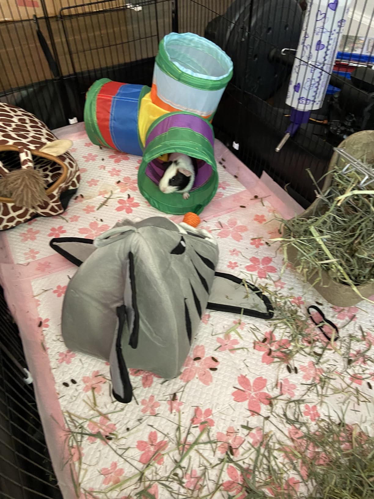 Tresbro Guinea Pig Cage with Waterproof PVC Bottom Liner & One-Hand Release Hook, Triple Fixing C&C Cage for Guinea Pigs, Bunny, Rabbit, Hedgehog, Small Animal Indoor Playpen 48''L x 24''W x 16''H customer photo 2