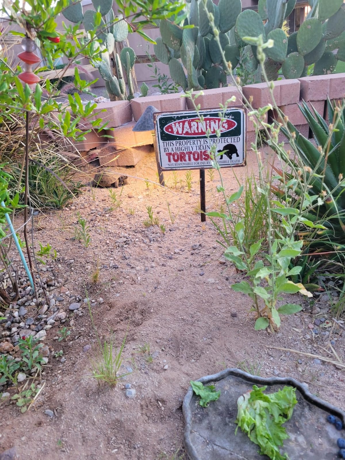 Vintage Alligators Metal Sign Wall decor customer photo 1