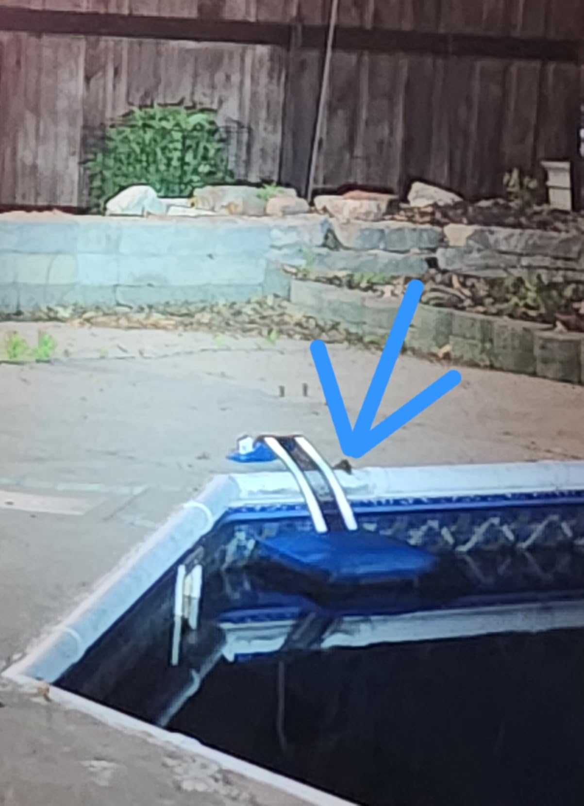 HKZ Pool Critter Animal Escape Ramp - 2Pack Critter Frog Saver Log for Swimming Pool with Reflective Strips, Wildlife Frog Pool Saver Floating Escape Device for Small Critters Squirrel Lizards (Blue) customer photo 1