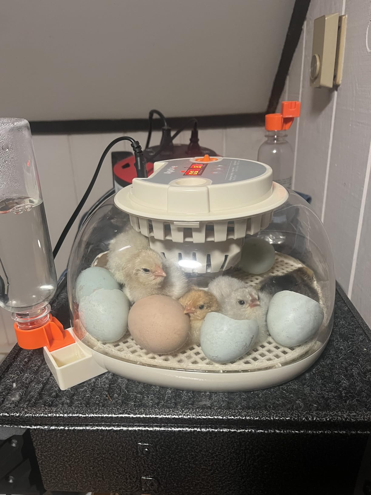 APDOE Egg Incubators for Hatching Eggs, Temperature and Humidity Control, Automatic Egg Turning, Egg Candler, External Water Bottle, Air Vent, for Chicken, Duck & Quail Eggs, 12 Eggs customer photo 1