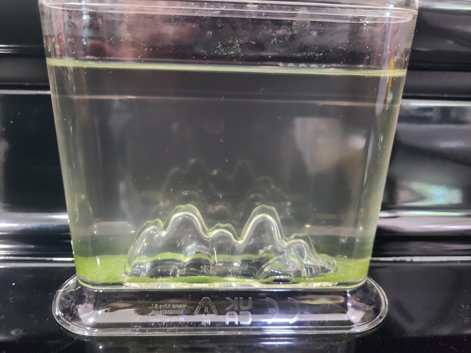 Animagic Aqua Dragons Hatch 'n' Grow Basic Tank | Build an Aquatic Ecosystem, Watch Prehistoric Pets Hatch & Grow Science Kit | Ages 6+ customer photo 1