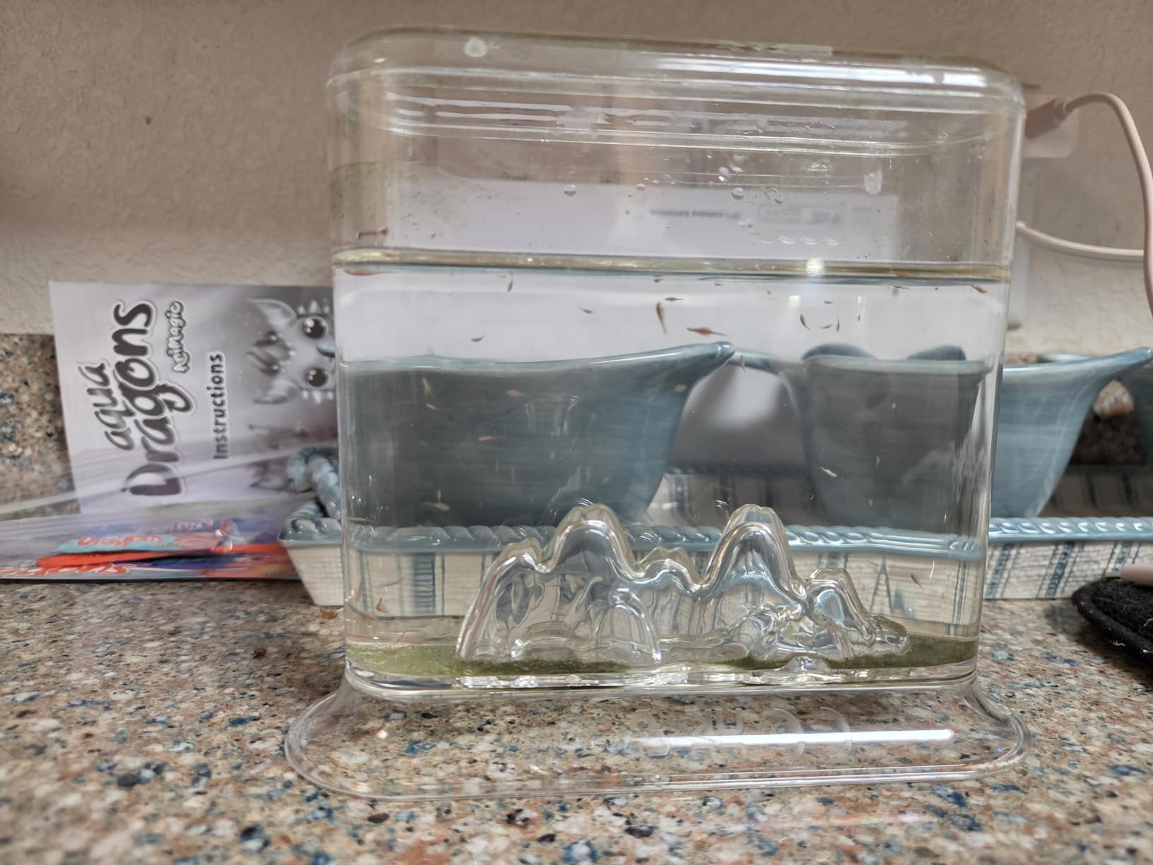 Animagic Aqua Dragons Hatch 'n' Grow Basic Tank | Build an Aquatic Ecosystem, Watch Prehistoric Pets Hatch & Grow Science Kit | Ages 6+ customer photo 2