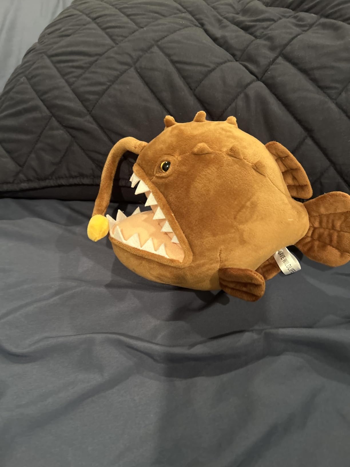 JIANEEXSQ Realistic Angler Fish Stuffed Animal Doll, Simulation Anglerfish Plush Toy, Deep Sea Ocean Animal Plush, Children's Birthday Gift, Collection Decoration customer photo 1