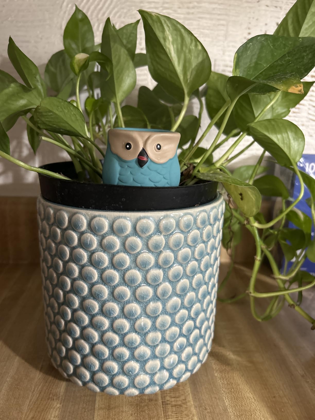 4 Pack Terracotta Watering Spikes, Vacation Self-Watering Planters Devices - Continuous Moisture with Slow Release Watering System - Perfect for Indoor Outdoor Plants (Owl Shape) customer photo 1