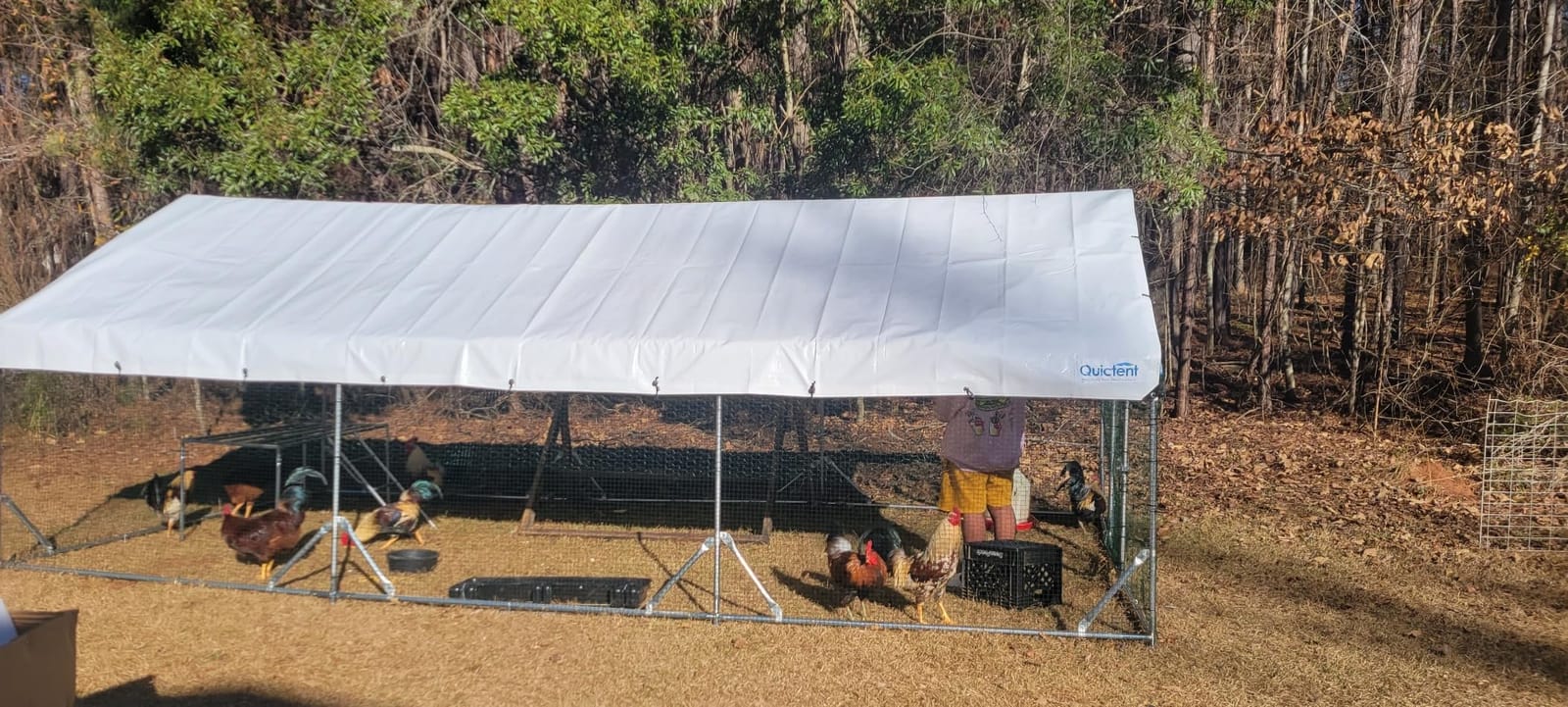Quictent Large Metal Chicken Coop Run for 20+ Poultry w/Side Hardware Cloth customer photo 1