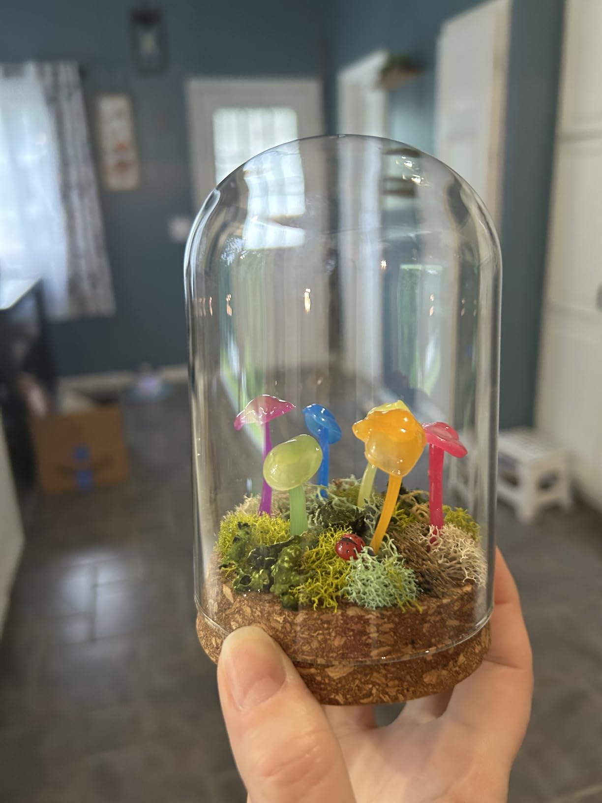 PH PandaHall 4pcs Cloche Glass Dome Clear Glass Display Dome with Cork Base Glass Decorative Jars Bottles for Display Collectibles Figurine Flower Storage Christmas Party Favor Decoration 3.15x5inch customer photo 1
