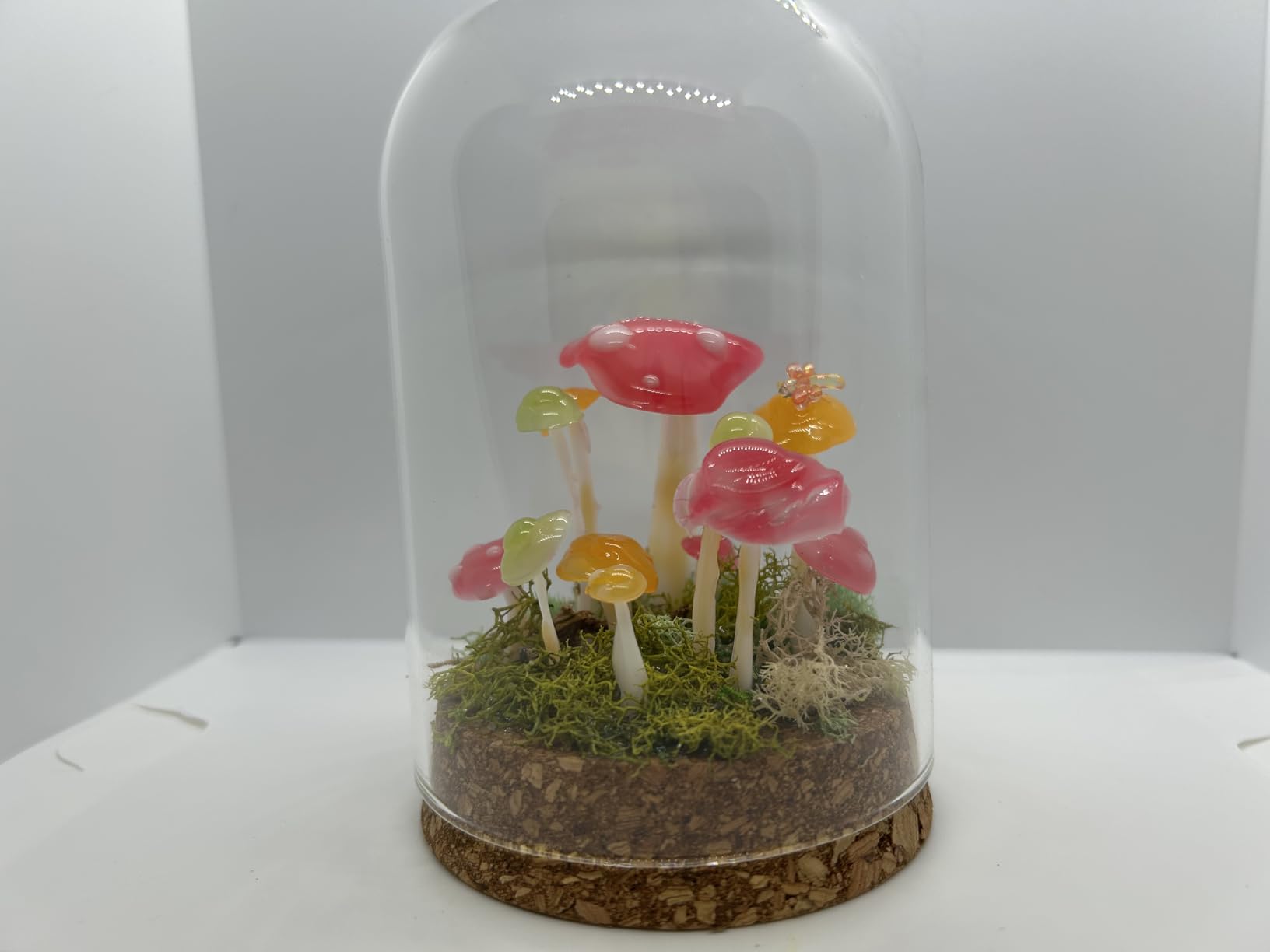 PH PandaHall 4pcs Cloche Glass Dome Clear Glass Display Dome with Cork Base Glass Decorative Jars Bottles for Display Collectibles Figurine Flower Storage Christmas Party Favor Decoration 3.15x5inch customer photo 2