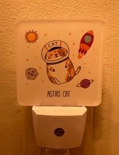 LED Night Light,Funny Cute Raccoon LED Night Light Plug into Wall with Dusk to Dawn Light Sensor White Energy Efficient Nightlight for Bedroom Bathroom Hallway Living Room Kitchen customer photo 2