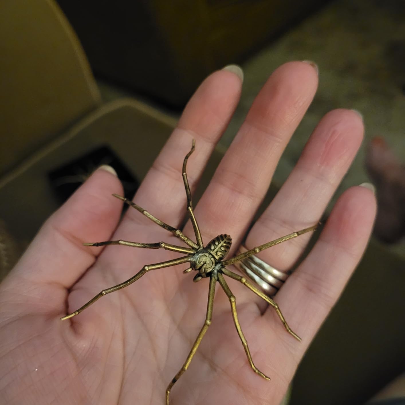 Realistic Spider Earrings Scary Spider Earrings Hand Cuff Costume Cosplay Party Supplies Favors for Women Men customer photo 1