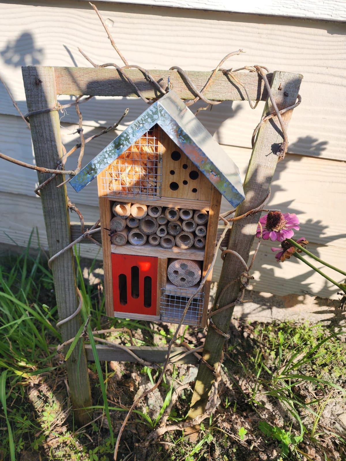 TIHOOD Natural Wooden Hanging Bee House for Gardens Natural Wooden Butterfly Hotel for Bee, Butterfly, Ladybirds, Habitat, Bee Hotel Garden customer photo 1
