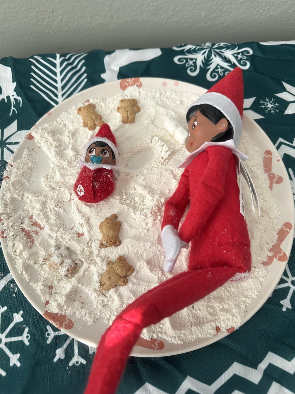 The Elf on the Shelf Frost Pips Mini Blooms Elf Baby Girl with Blue Eyes customer photo 2